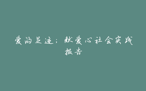 爱的足迹:献爱心社会实践报告