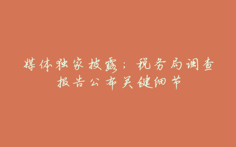 媒体独家披露：税务局调查报告公布关键细节