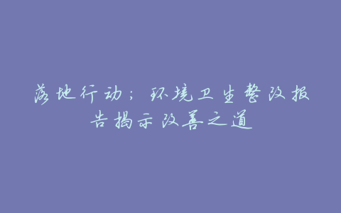 落地行动:环境卫生整改报告揭示改善之道
