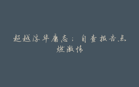 超越浮华庸态:自查报告点燃激情