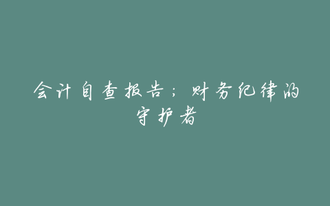 会计自查报告:财务纪律的守护者