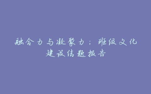 融合力与凝聚力：班级文化建设结题报告