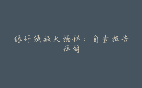 银行绩效大揭秘:自查报告详解