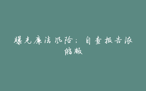 曝光廉洁风险:自查报告浓缩版