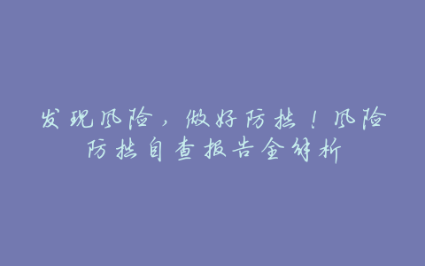 发现风险,做好防控!风险防控自查报告全解析