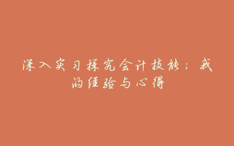 深入实习探究会计技能:我的经验与心得