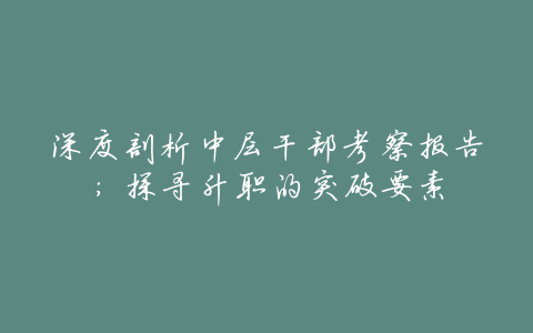 深度剖析中层干部考察报告:探寻升职的突破要素