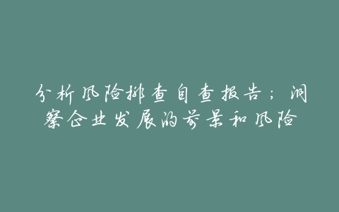 分析风险排查自查报告:洞察企业发展的前景和风险