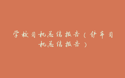 学校司机总结报告(铲车司机总结报告)