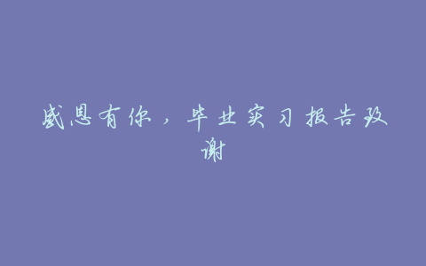感恩有你,毕业实习报告致谢