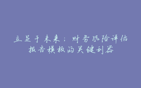 立足于未来:财务风险评估报告模板的关键利器