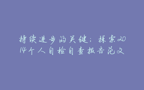 持续进步的关键:探索2014个人自检自查报告范文