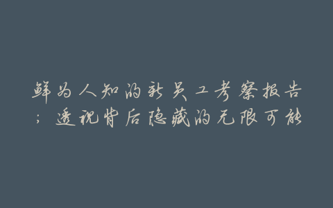 鲜为人知的新员工考察报告:透视背后隐藏的无限可能