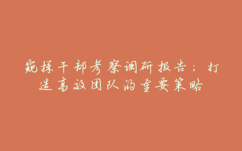 窥探干部考察调研报告:打造高效团队的重要策略