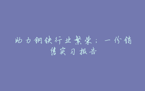 助力钢铁行业繁荣:一份销售实习报告