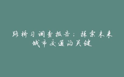 路桥习调查报告：探索未来城市交通的关键