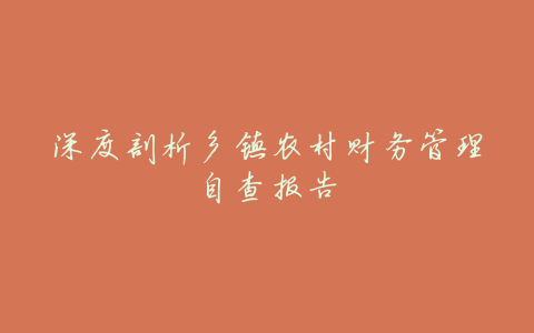 深度剖析乡镇农村财务管理自查报告