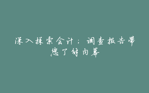 深入探索会计:调查报告带您了解内幕
