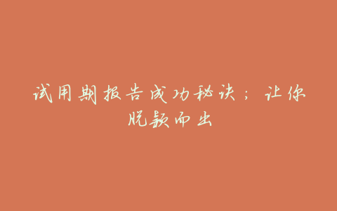 试用期报告成功秘诀:让你脱颖而出