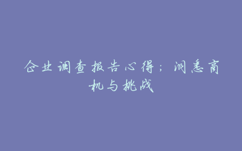 企业调查报告心得:洞悉商机与挑战