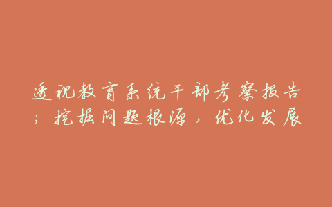 透视教育系统干部考察报告:挖掘问题根源,优化发展