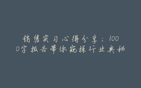 销售实习心得分享:1000字报告带你窥探行业奥秘
