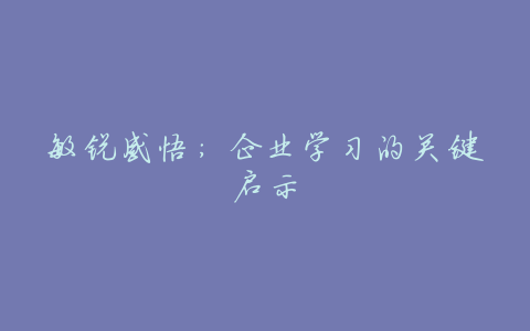 敏锐感悟:企业学习的关键启示