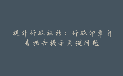 提升行政效能:行政印章自查报告揭示关键问题