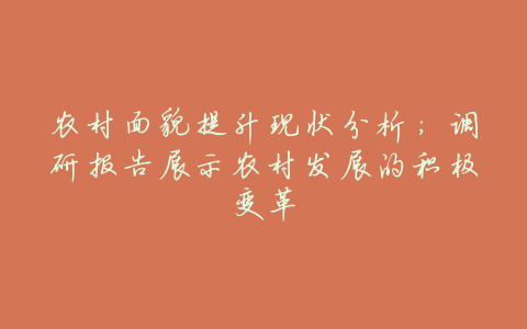 农村面貌提升现状分析:调研报告展示农村发展的积极变革