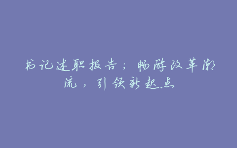 书记述职报告:畅游改革潮流,引领新起点