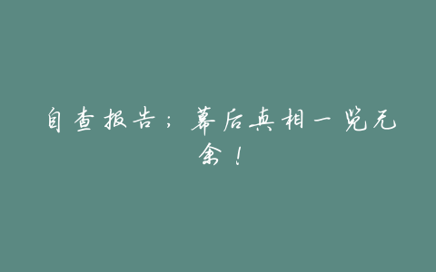 自查报告:幕后真相一览无余!