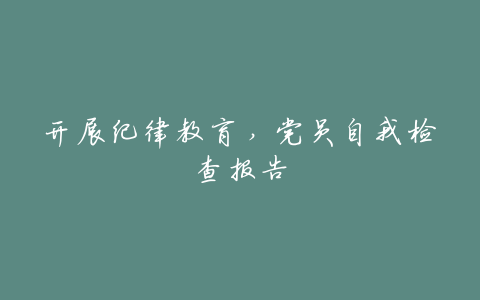 开展纪律教育,党员自我检查报告