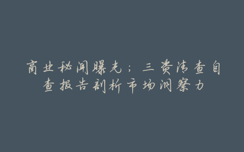 商业秘闻曝光:三资清查自查报告剖析市场洞察力