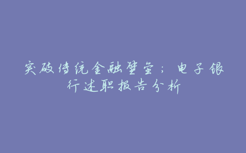 突破传统金融壁垒:电子银行述职报告分析
