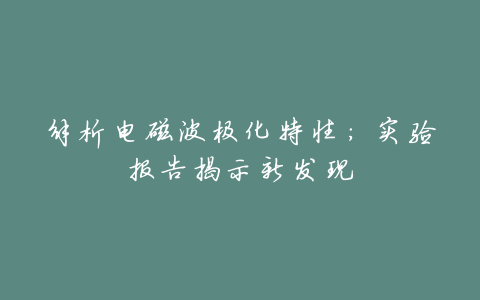 解析电磁波极化特性:实验报告揭示新发现