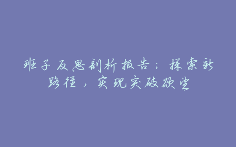 班子反思剖析报告:探索新路径,实现突破欲望