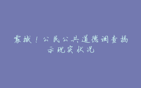 震撼!公民公共道德调查揭示现实状况