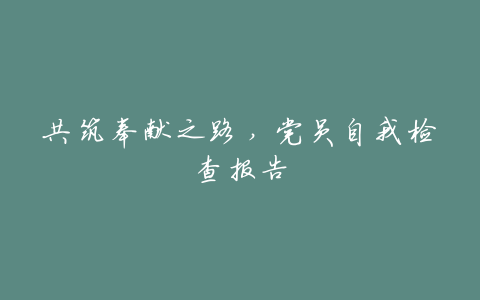 共筑奉献之路,党员自我检查报告