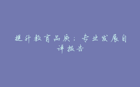 提升教育品质:专业发展自评报告