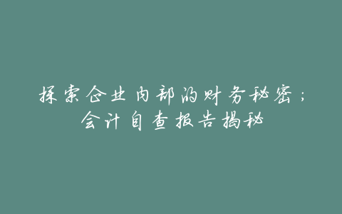 探索企业内部的财务秘密：会计自查报告揭秘