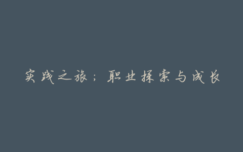 实践之旅:职业探索与成长