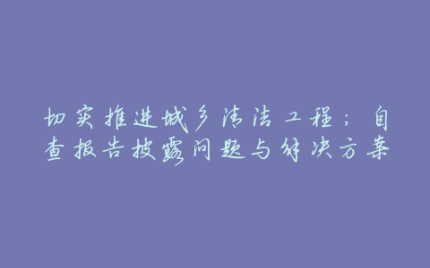 切实推进城乡清洁工程:自查报告披露问题与解决方案