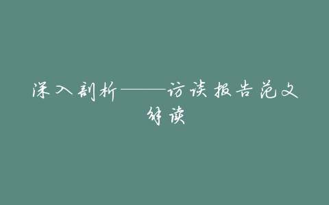深入剖析——访谈报告范文解读