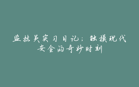 监控员实习日记:触摸现代安全的奇妙时刻