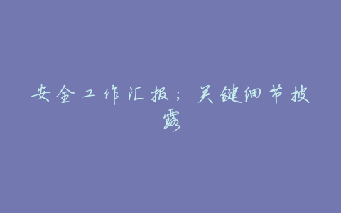 安全工作汇报:关键细节披露