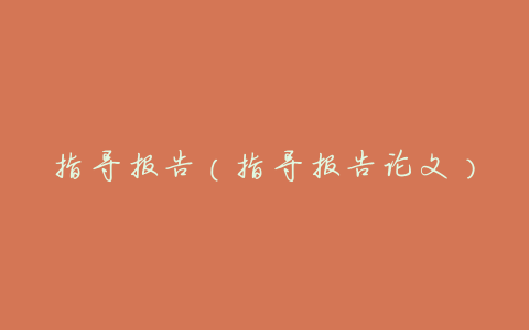 指导报告(指导报告论文)