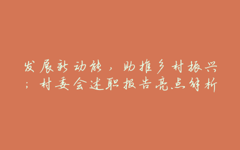 发展新动能,助推乡村振兴:村委会述职报告亮点解析