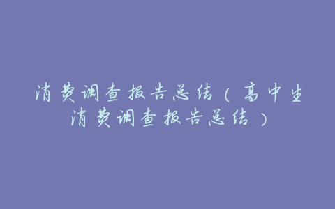 消费调查报告总结(高中生消费调查报告总结)