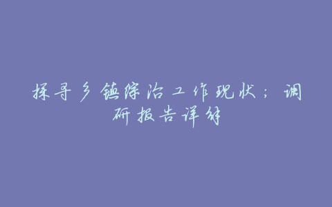 探寻乡镇综治工作现状:调研报告详解