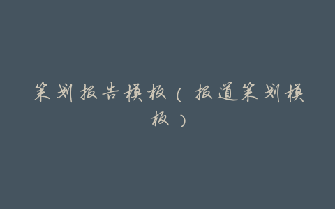 策划报告模板(报道策划模板)